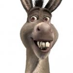 Donkey