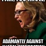 hillary clinton | I AM, YOU KNOW, ADAMANTLY AGAINST ILLEGAL IMMIGRATION | image tagged in hillary clinton | made w/ Imgflip meme maker