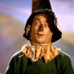 Wizard of Oz Scarecrow meme