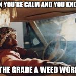 Snoop dog meme me  | WHEN YOU'RE CALM AND YOU KNOW IT; IT'S THE GRADE A WEED WORKING | image tagged in snoop dog meme me | made w/ Imgflip meme maker