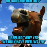 Just Horsing Around | THE OTHER DAY AN INSPECTOR DROPPED BY THE FARM; AND ASKED '' IS THE WATER ON YOUR FARM HEALTHY?''; I REPLIED ''WHY YES, WE ONLY HAVE WELL WATER'' | image tagged in just horsing around,funny meme,jokes,horses,farm,water | made w/ Imgflip meme maker