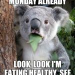 koala monday | REALLY? IT'S MONDAY ALREADY; LOOK, LOOK I'M EATING HEALTHY, SEE, SEE. ALL GREENS | image tagged in koala monday | made w/ Imgflip meme maker