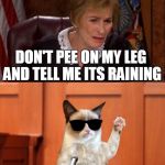 Grumpy Cat has many alibis for peeing on Judge Judy's leg | DON'T PEE ON MY LEG AND TELL ME ITS RAINING; I'M LEGALLY BLIND | image tagged in judge judy and the cat,memes | made w/ Imgflip meme maker