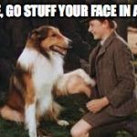Lassie come home first memes LOL | LASSIE, GO STUFF YOUR FACE IN A SOCK | image tagged in stuffing,socks,funny memes,first meme,lassie x x | made w/ Imgflip meme maker