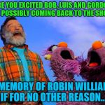 Robin Sesame Street | ARE YOU EXCITED BOB, LUIS AND GORDON ARE POSSIBLY COMING BACK TO THE SHOW? IN MEMORY OF ROBIN WILLIAMS, IF FOR NO OTHER REASON... | image tagged in robin sesame street | made w/ Imgflip meme maker