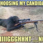 Three choices, two bullets. | I'M CHOOSING MY CANDIDATE,... RIIIIIIGGGHHHT .....NOW! | image tagged in gorilla warfare,sewmyeyesshut,funny memes,why not both | made w/ Imgflip meme maker
