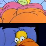 homersleep