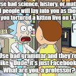 Public School isn't for Smart People | Use bad science, history, or math and people will lay into you as though you tortured a kitten live on t.v. Use bad grammar and they're like, "Dude, it's just Facebook"  What are you, a professor? | image tagged in public school isn't for smart people | made w/ Imgflip meme maker