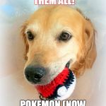 Fetch them all Pokemon Go | GOTTA FETCH THEM ALL! POKEMON (NOW IN STORIES) | image tagged in fetch them all pokemon go | made w/ Imgflip meme maker