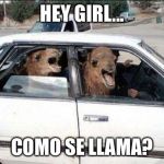 Quit Hatin | HEY GIRL... COMO SE LLAMA? | image tagged in memes,quit hatin | made w/ Imgflip meme maker