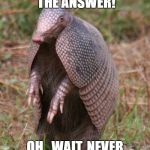 armadillo | I'VE GOT THE ANSWER! OH...WAIT..NEVER MIND. | image tagged in armadillo | made w/ Imgflip meme maker