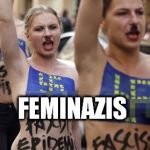 Feminist ID Guidebook | FEMINIST; FEMINUISANCE; FEMINUTZOID; FEMINAZIS; FEMINUBIAN; GAL QAEDA; FEMINISIS | image tagged in feminist id guidebook,memes,i need feminism because,feminazi,hillary clinton 2016,cultural marxism | made w/ Imgflip meme maker