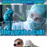Calcium Hexaboride Is What It's Called | How do elements travel when they have no other means of transportation? They grab a CaB! | image tagged in bad pun scientist,bad pun,funny,memes,elements,science | made w/ Imgflip meme maker