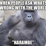 harambe | WHEN PEOPLE ASK WHATS WRONG WITH THE WORLD; "HARAMBE" | image tagged in harambe | made w/ Imgflip meme maker