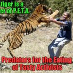I, myself, am a member of People for the Eating of Tasty Animals | This tiger is a member of P.E.T.A. Predators for the Eating of Tasty Activists | image tagged in peta tiger,memes,funny animals,funny,animals,tiger | made w/ Imgflip meme maker