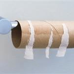 Empty toilet paper roll