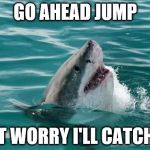 Friendly Shark | GO AHEAD JUMP; DON'T WORRY I'LL CATCH YOU | image tagged in friendly shark,shark,trust,memes,funny,animals | made w/ Imgflip meme maker