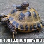 Snail riding turtle | THE WAIT FOR ELECTION DAY 2016 BE LIKE... | image tagged in snail riding turtle | made w/ Imgflip meme maker