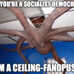 Socialist Democrat | OH, YOU'RE A SOCIALIST DEMOCRAT? IM A CEILING-FANOPUS! | image tagged in socialist,democrat,dnc,bernie sanders,bernie | made w/ Imgflip meme maker
