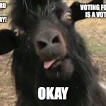 goatsister | VOTING FOR THIRD PARTY IS A VOTE FOR TRUMP! VOTING FOR THIRD PARTY IS A VOTE FOR HILLARY! OKAY | image tagged in goatsister | made w/ Imgflip meme maker