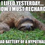 narcolepsy sloth | I LIFED YESTERDAY.... NOW I MUST RECHARGE; MY DEAD BATTERY OF A HYPOTHALAMUS | image tagged in narcolepsy sloth | made w/ Imgflip meme maker