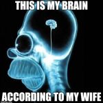 She is pretty sure about this  | THIS IS MY BRAIN; ACCORDING TO MY WIFE | image tagged in homer simpson | made w/ Imgflip meme maker