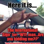 Found It, Memed It, HAD To Do It:  | Here it is.... The International Sign* for: "WTF, man...Are you kidding me??"; *no translation necessary | image tagged in wtf driver,memes | made w/ Imgflip meme maker