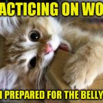 That's just silly cat (A Jying Template) Apparently his first! | PRACTICING ON WOOD; SO I'M PREPARED FOR THE BELLY RUB! | image tagged in that's just silly cat,practice,massage,cat,funny meme,jying | made w/ Imgflip meme maker