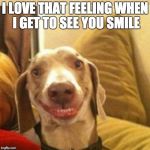 big smile doggie | I LOVE THAT FEELING WHEN I GET TO SEE YOU SMILE | image tagged in big smile doggie | made w/ Imgflip meme maker