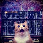 Cat on synthesizer in space