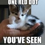 Spent an hour and a half reading cat memes on Google Images when I tried to check if this was a repost... | IF YOU'VE SEEN ONE RED DOT; YOU'VE SEEN THEM ALL | image tagged in cynical-kitten,meme,red dot | made w/ Imgflip meme maker