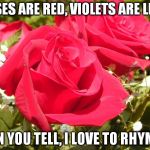 Roses | ROSES ARE RED, VIOLETS ARE LIME, CAN YOU TELL, I LOVE TO RHYME? | image tagged in roses | made w/ Imgflip meme maker