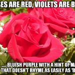 Roses | ROSES ARE RED, VIOLETS ARE BLUE. WELL ..... BLUISH PURPLE WITH A HINT OF MAUVE BUT THAT DOESN'T RHYME AS EASILY AS 'BLUE'. | image tagged in roses | made w/ Imgflip meme maker
