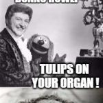 Bad pun Rowlf and Liberace | HEY LIBERACE WHATS BETTER THAN ROSES ON YOUR PIANO ? DUNNO ROWLF; TULIPS ON YOUR ORGAN ! | image tagged in rowlf and liberace,memes,bad pun,muppets,liberace | made w/ Imgflip meme maker