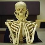 Skeleton waiting computer
