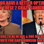 trump and clinton | YOU HAVE A BETTER OPTION THAN THESE 2 CRAZY CANDIDATES; ONE NEEDS TO BE IN JAIL & ONE IN THE FUNNY FARM!!!!   VOTE FOR GARY JOHNSON FOR PRESIDENT | image tagged in trump and clinton | made w/ Imgflip meme maker