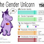 Gender unicorn  meme