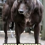 cunt farm dog says | PERFORMANCE ENHANCING DRUGS; TESTED ON RUSSIAN CHIHUAHUAS | image tagged in cunt farm dog says | made w/ Imgflip meme maker