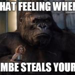 King kong | THAT FEELING WHEN; HARAMBE STEALS YOUR GIRL | image tagged in king kong,harambe | made w/ Imgflip meme maker