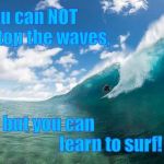 Catch waves not pokemon | You can NOT            stop the waves, but you can                                    learn to surf! | image tagged in catch waves not pokemon | made w/ Imgflip meme maker