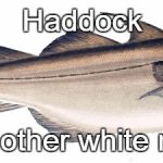 Haddock | Haddock; The other white meat | image tagged in haddock | made w/ Imgflip meme maker