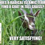 Goat in tall grass | HOW DOES A RADICAL ISLAMIC TERRORIST FIND A GOAT IN TALL GRASS? VERY SATISFYING! | image tagged in goat in tall grass | made w/ Imgflip meme maker