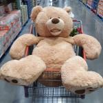 Bad Teddy Bear 