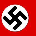 nazi flag meme