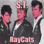 Crazy little thing called 'memes' | S.T. RayCats | image tagged in st raycats,super terrific,memes | made w/ Imgflip meme maker