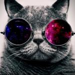 galaxy cat with glasses