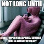 65 Days Till Spring | NOT LONG UNTIL; THE TUPPERWARE SPRING/SUMMER 2016 CATALOGUE RELEASE!! | image tagged in 65 days till spring | made w/ Imgflip meme maker