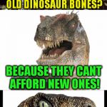 Bad Pun Velociraptor ( A Sewmyeyesshut Template) | WHY DO MUSEUMS HAVE OLD DINOSAUR BONES? BECAUSE THEY CANT AFFORD NEW ONES! | image tagged in bad pun velociraptor,funny meme,jokes,dinosaur,bones,broke | made w/ Imgflip meme maker