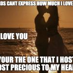 Perfect Love | WORDS CANT EXPRESS HOW MUCH I LOVE YOU; I LOVE YOU; YOUR THE ONE THAT I HOST MOST PRECIOUS TO MY HEART | image tagged in perfect love | made w/ Imgflip meme maker