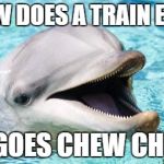 Dumb Joke Dolphin | HOW DOES A TRAIN EAT? IT GOES CHEW CHEW | image tagged in dumb joke dolphin | made w/ Imgflip meme maker